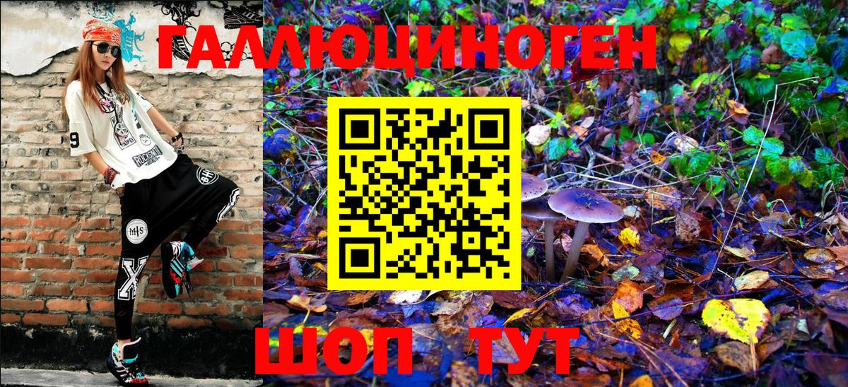 сколько стоит  Вход с VPN  Галлюциногенные грибы Psilocybe  Балашов  Галлюциногенные грибы прущие грибы 